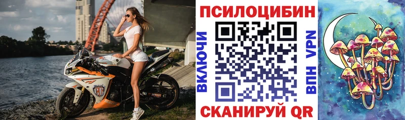 маркетплейс Telegram  Холмск  Галлюциногенные грибы Psilocybine cubensis 